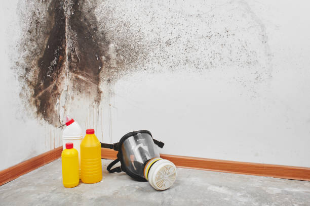 Clarkston, WA Mold Remediation Company