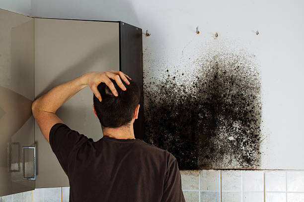 Best Bathroom Mold Remediation in Clarkston, WA